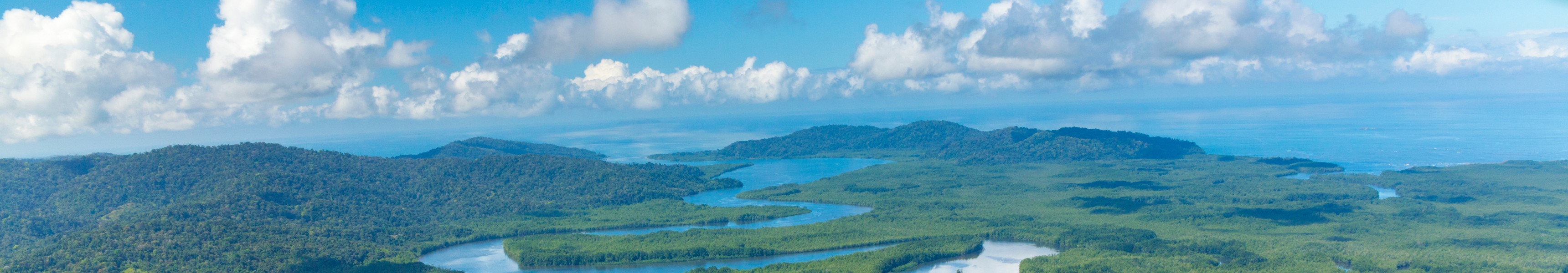 Luftaufnahme des Delta Sierpe River Terraba im Nationalpark Corcovado auf Costa Rica
