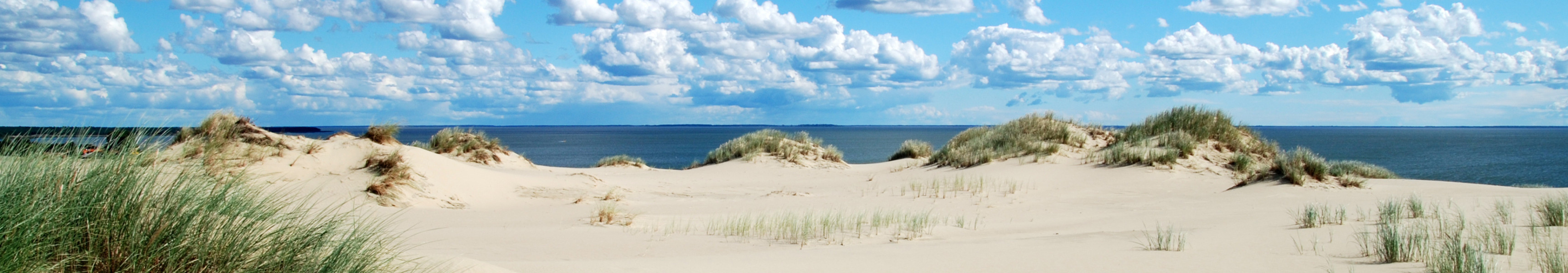 Sanddünen mit Strandhafer an der Ostsee unter blauem Himmel mit weißen Wolken.