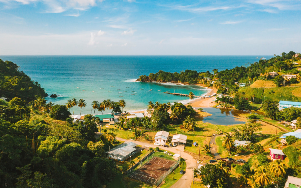 K&uuml;ste von Barbados mit Strand, Palmen und t&uuml;rkisblauem Wasser, umgeben von gr&uuml;ner H&uuml;gellandschaft.