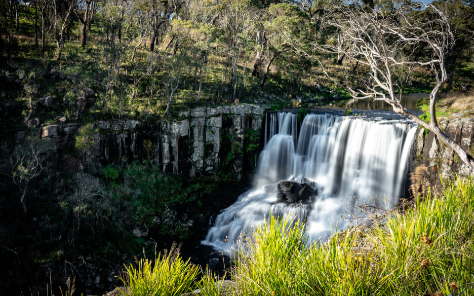 Mehrstufiger Wasserfall der Ebor Falls mit Basalts&auml;ulen und umgebendem Wald.