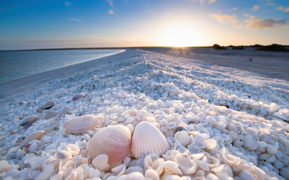 Sonnenaufgang in Shell Beach, Monkey Mia, Shark Bay Westaustralien