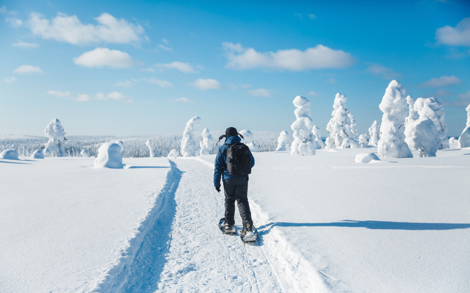 Mann wandert mit Rucksack und Schneeschuhen auf einem Schneepfad in Finnland, Lappland.