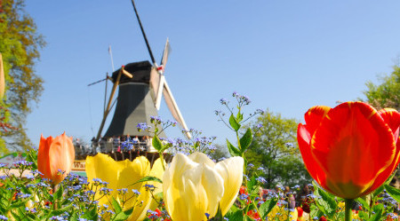 Keukenhof-Holland
